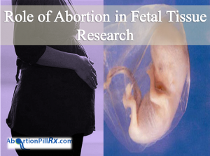 Role of Abortion in Fetal Tissue Research